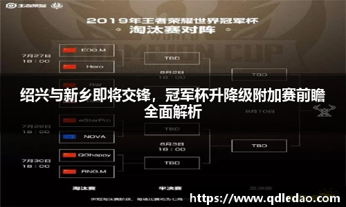 wm视讯平台官网