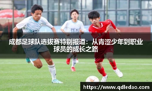 wm真人视讯平台